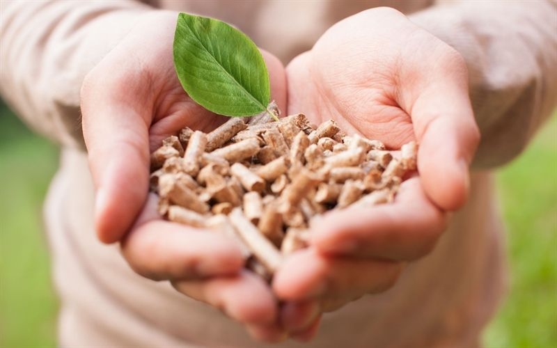 Les granulés de bois ou pellets